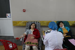 IMG_0847_7d935