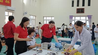 Một số hình ảnh HMTN tại Kim Sơn đợt 1 năm 2024